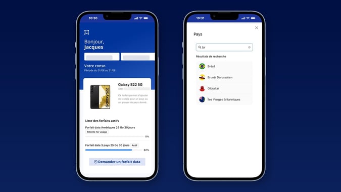 Application Phoner Business de gestion de la data à l étranger : forfaits data actifs par pays et ajout de data pour un pays ou une région