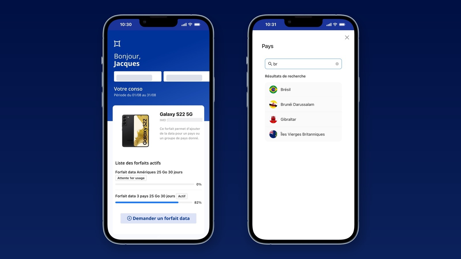 Application Phoner Business de gestion de la data à l étranger : forfaits data actifs par pays et ajout de data pour un pays ou une région